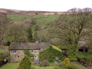 INgshead from the garden