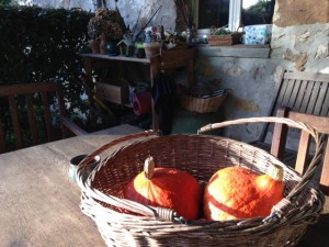 Gourds - La Bristellerie