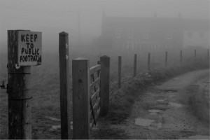 Towards the end of the lane, Tregiffian.