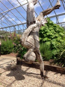 Acrobat, in the glasshouse.