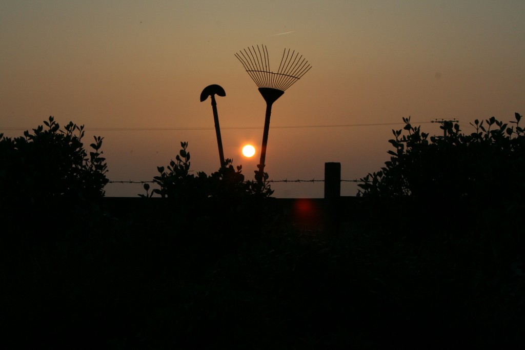 Late evening at New Forge after meeting some lovely guests.