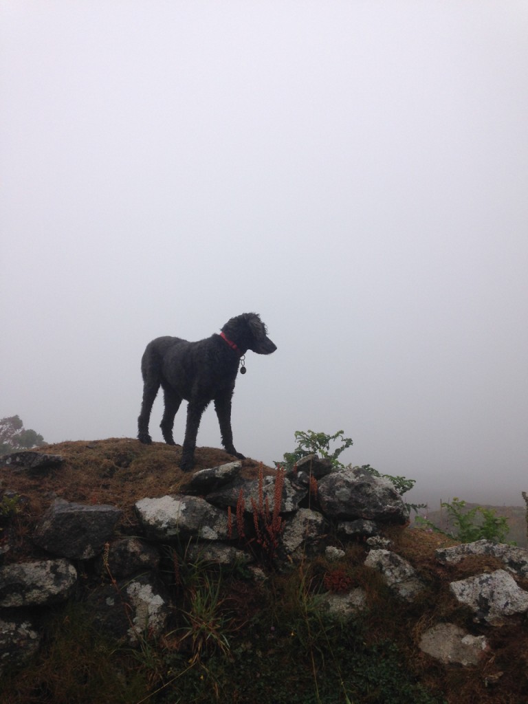 Polly at pretty much the same spot, wondering who's stolen Ross Poldark's mines.