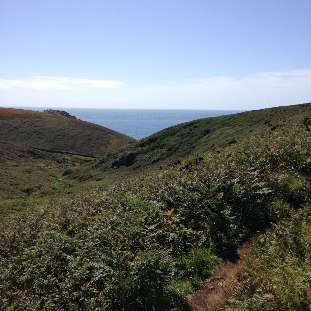 The walk to Nanjizel Beach from Trevescan