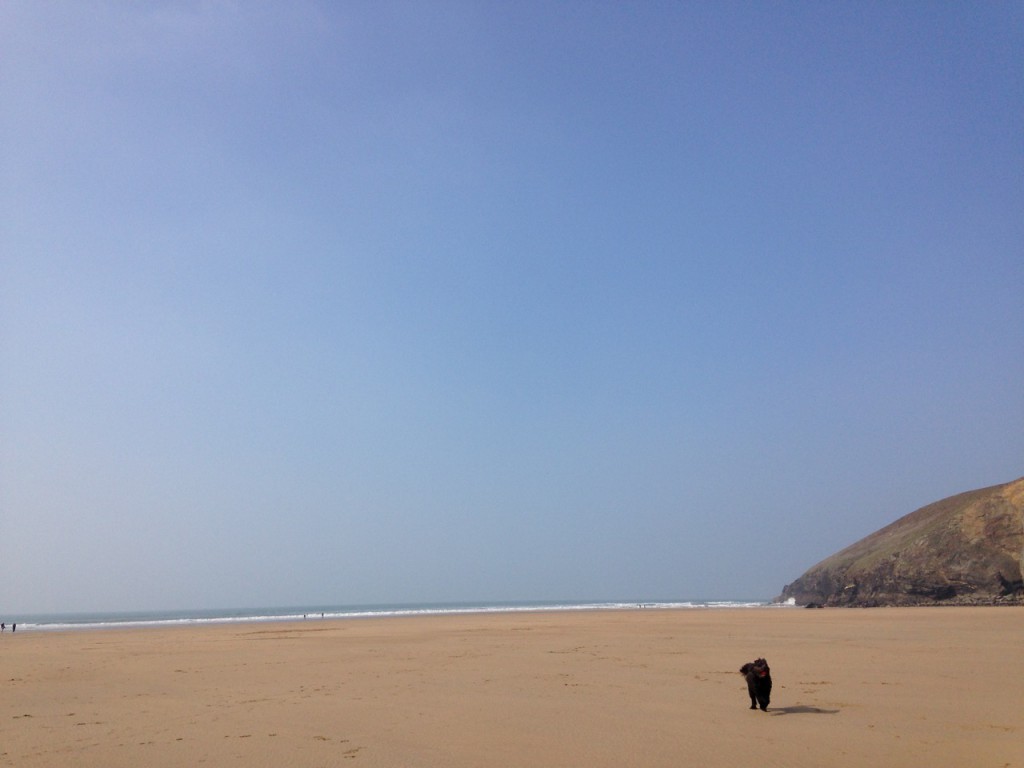 Mawgan Porth with dog