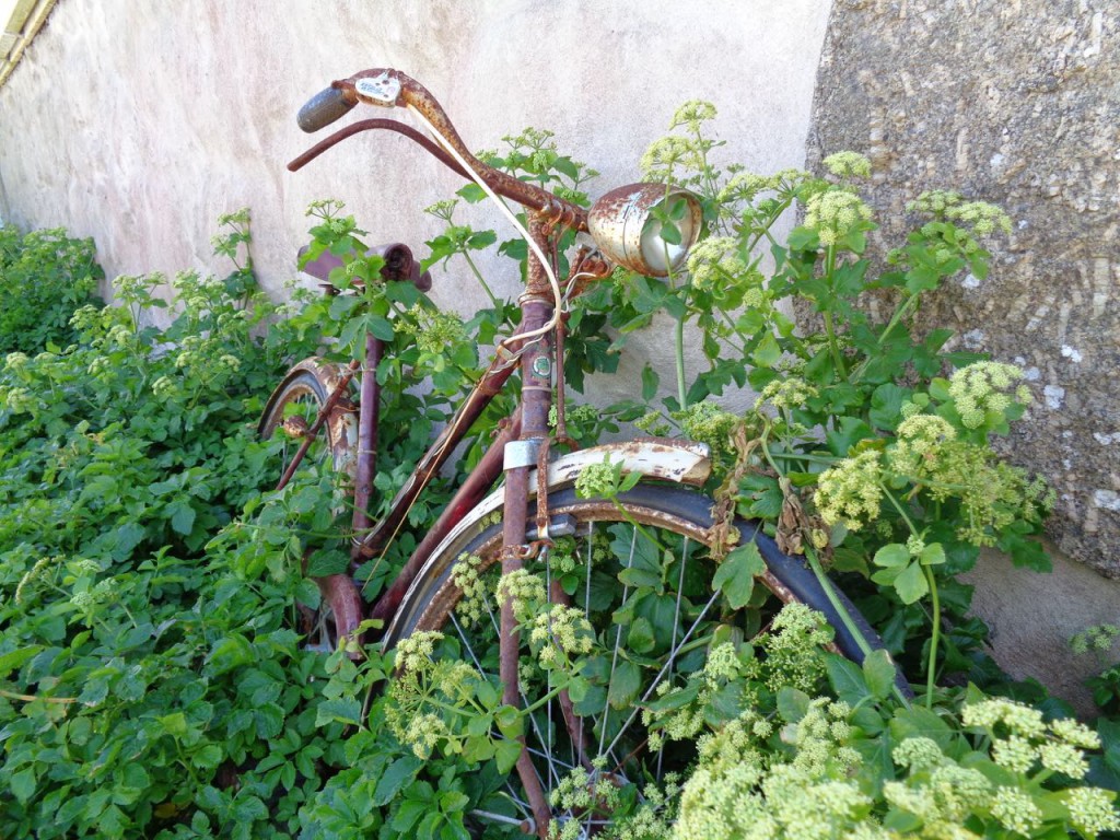 Abandoned, but still lovely. Bicycle at Trevilly.
