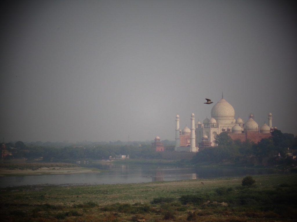 The Taj Mahal from the Red Fort, Agra.